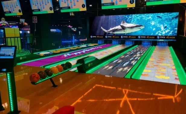 Aquario-Michin-Mexico-Pistas-de