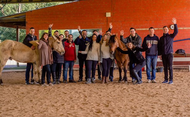 Site Projeto inédito com cavalos